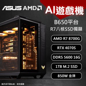 【DIY電腦】華碩B650平台 AMD R7 AI遊戲機無系統